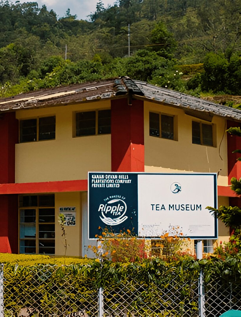 Tea Museum Munnar - The Leaf Munnar Resort, the best resort in Munnar