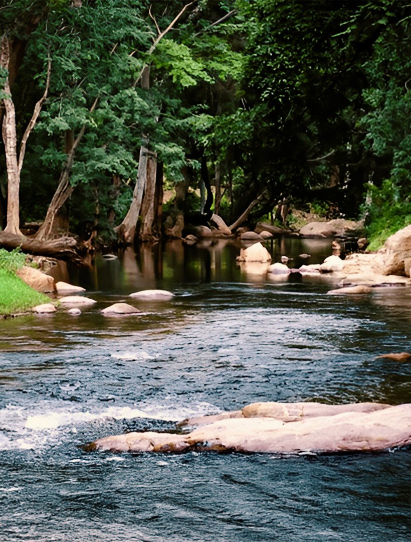 Chinnar wild life sanctuary, Munnar - The Leaf Munnar Resort, the best resort in Munnar