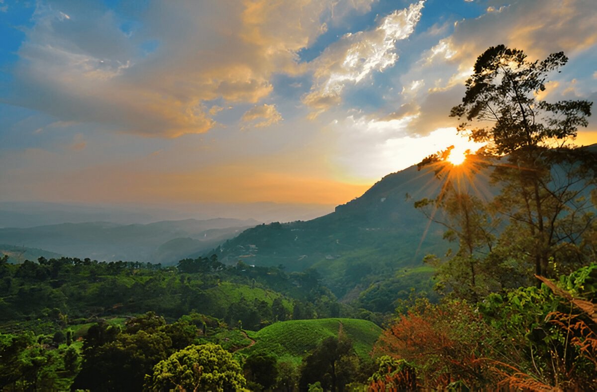 Top Station Munnar