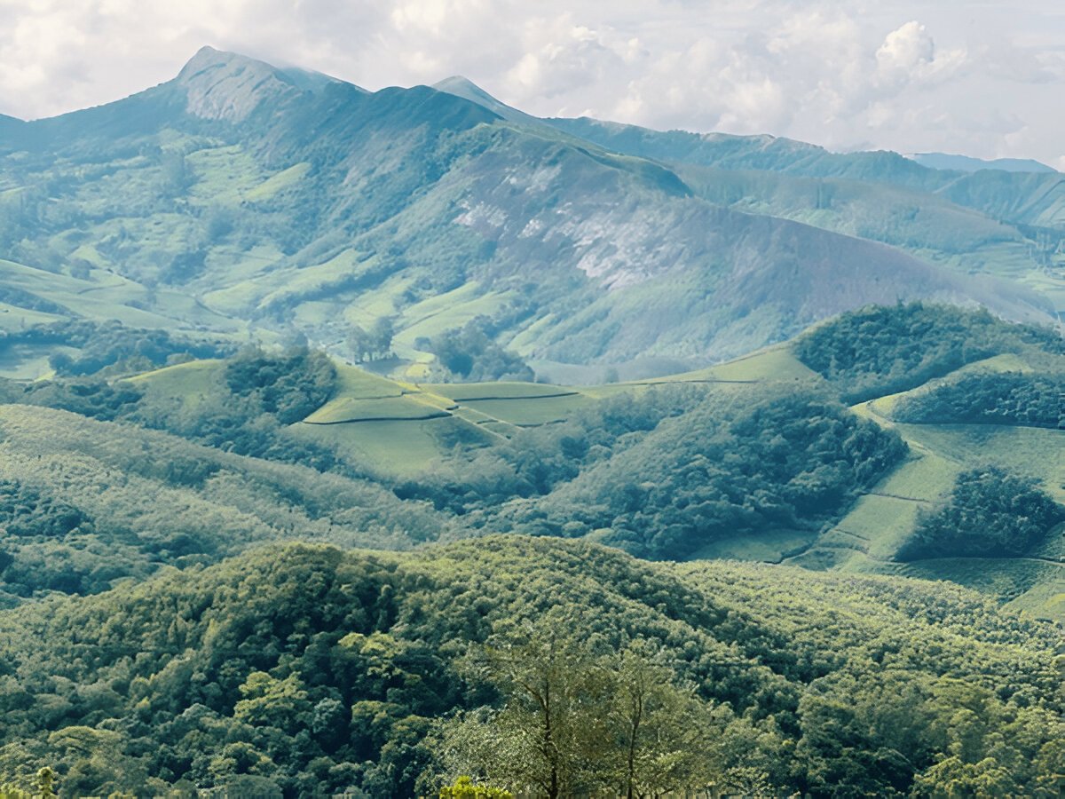 Anamudi Munnar