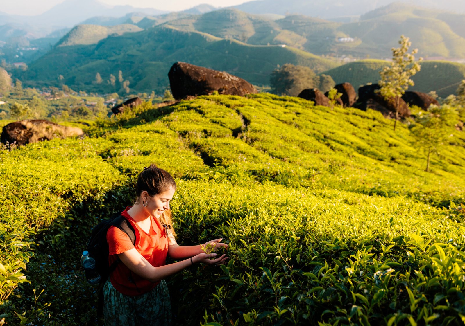 Lockhart Tea Estate - Munnar Tea Gardens