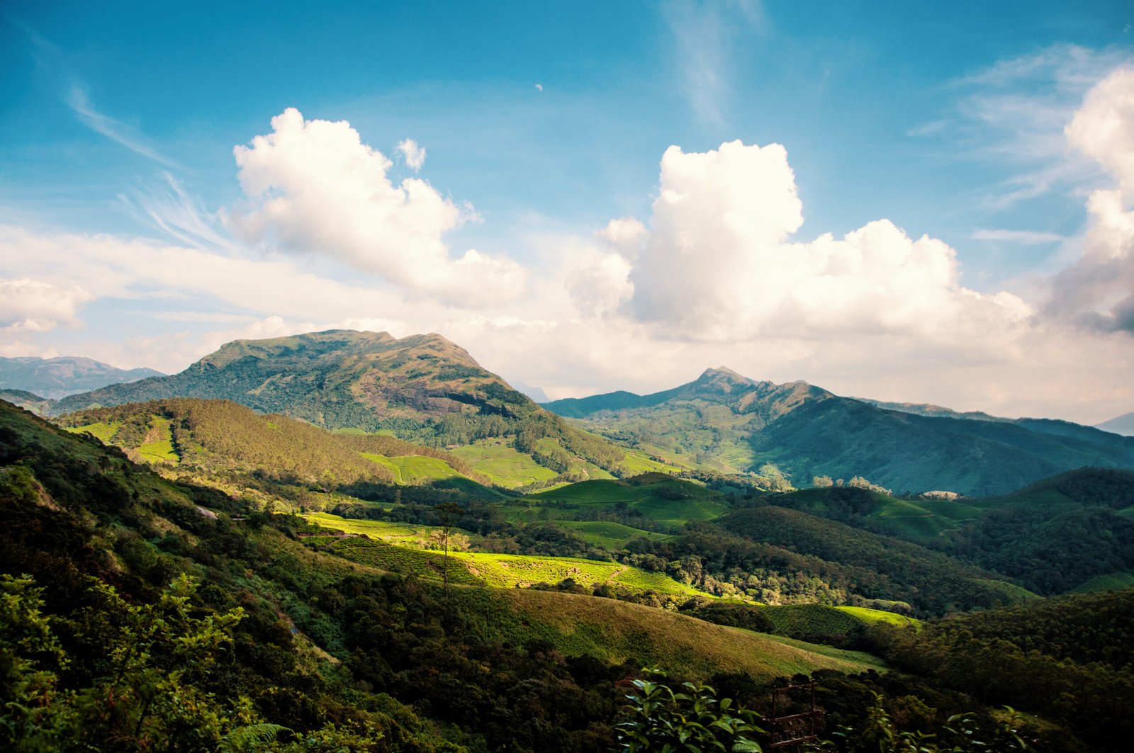 Top Station Munnar