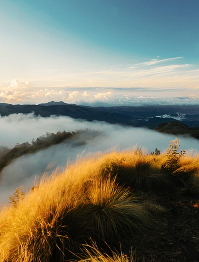 Kolukkumalai Tea Estate - Munnar Attractions