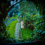Best Resort in Munnar - The Leaf Munnar Resort - Villa view through fog and garden