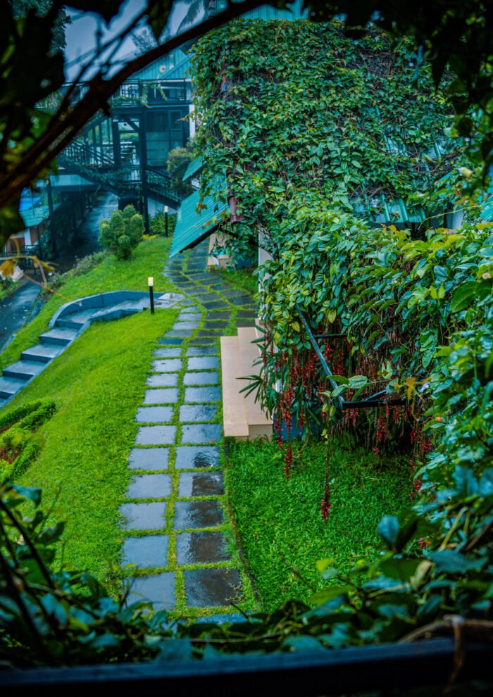 Best Resort in Munnar - The Leaf Munnar Resort - Villa view through fog and garden