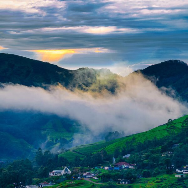 Best Resort in Munnar - The Leaf Munnar Resort - Beautiful Munnar view