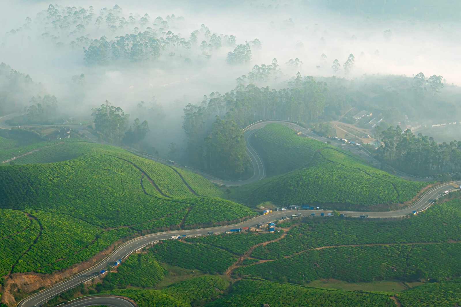 view from chokramudi