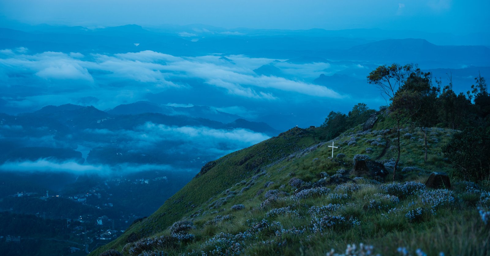 Neelakurinji - Munnar