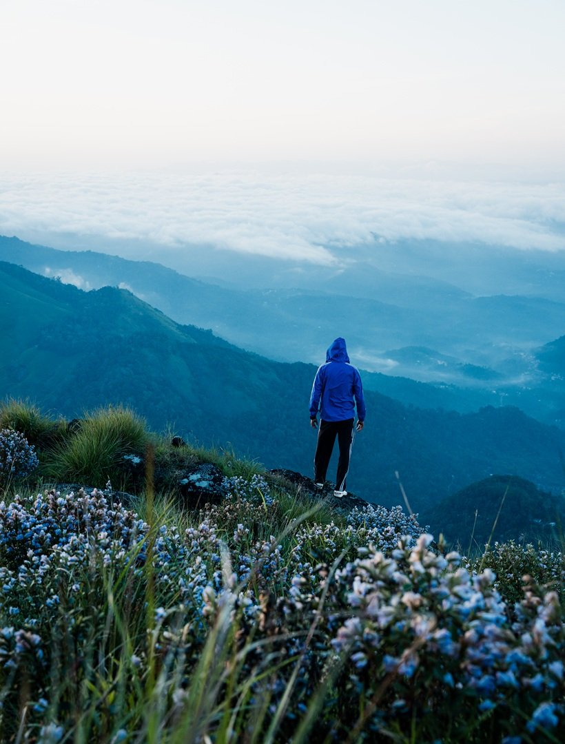 Neelakurinji – Munnar Neelakurinji - Munnar